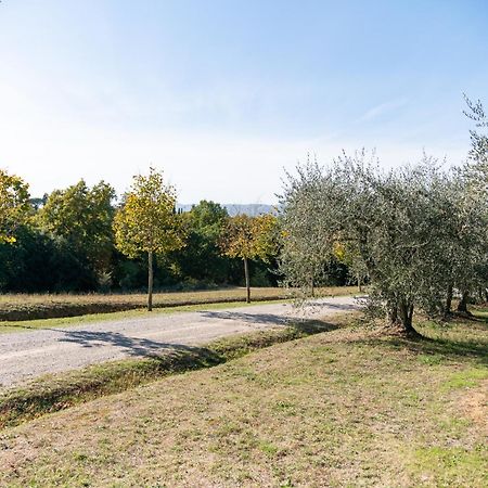 San Carlo A La Molinella Pension Città della Pieve Buitenkant foto
