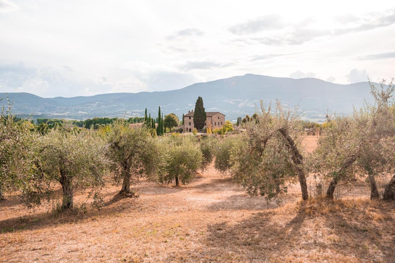 San Carlo A La Molinella Pension Città della Pieve Buitenkant foto