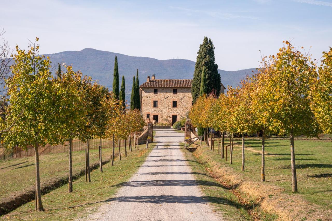 San Carlo A La Molinella Pension Città della Pieve Buitenkant foto