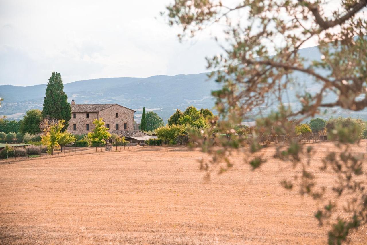San Carlo A La Molinella Pension Città della Pieve Buitenkant foto