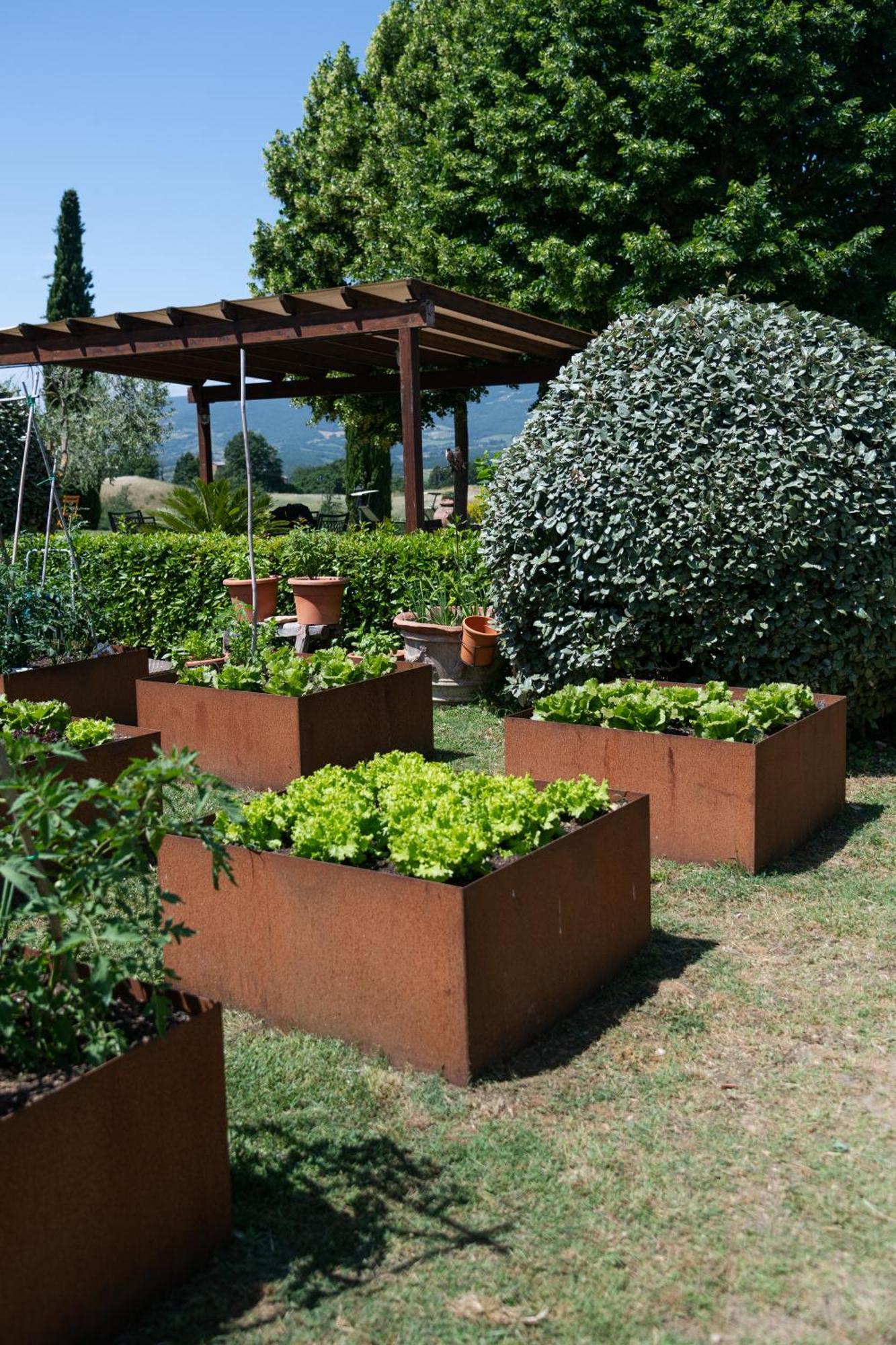 San Carlo A La Molinella Pension Città della Pieve Buitenkant foto
