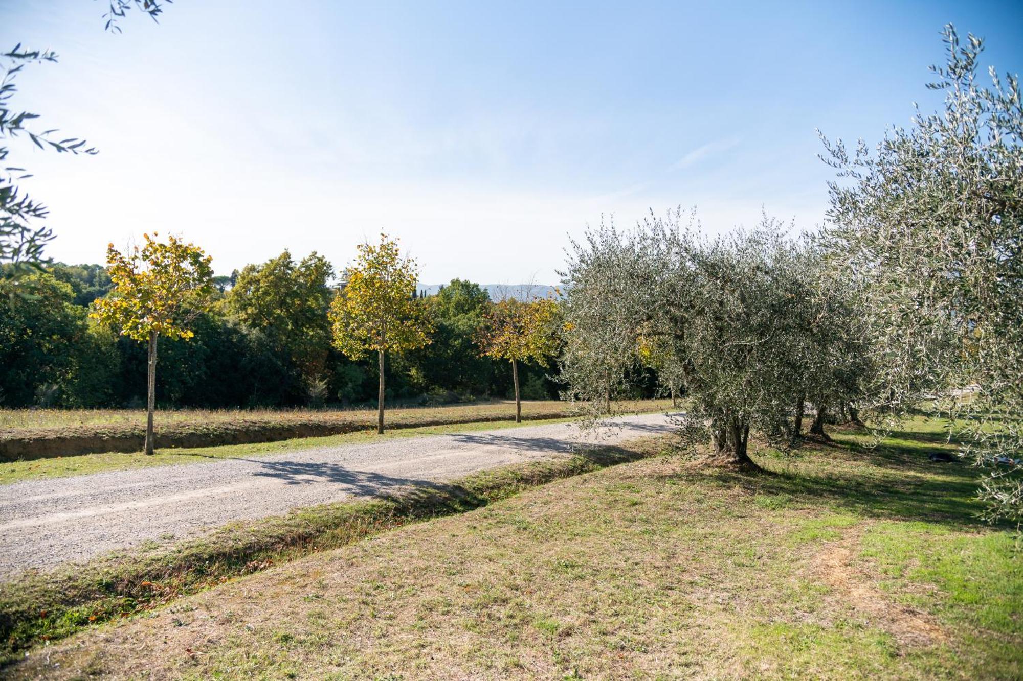 San Carlo A La Molinella Pension Città della Pieve Buitenkant foto